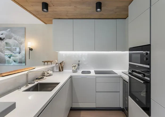 Neuf, Jardin Prive, 3 Chambres, Mont D'arbois - Fr-1-569-73 Megève